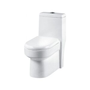 One Piece Closet(Wash Down) Dual Flush Fittings And Soft Closing Seat Cover