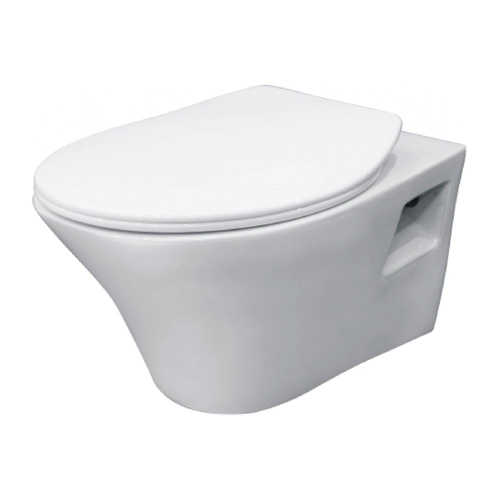 Wall Hung Closet with Soft Closing Seat Cover