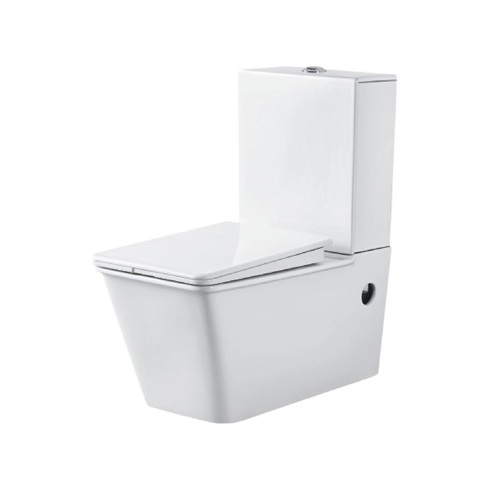 Dual Flush Fittings & Soft Closing Seat Cover