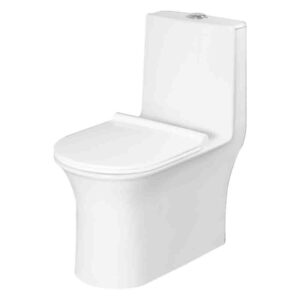 One Piece Closet (Wash Down) Dual Flush Fittings & Soft Closing Seat Cover