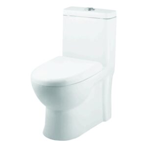 One Piece Closet ( Syphonic ) Dual Flush Fittings & Soft Closing Seat Cover