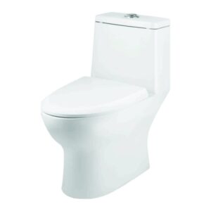 One Piece Closet ( Syphonic ) Dual Flush Fittings & Soft Closing Seat Cover