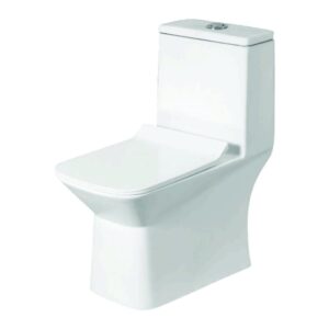 One Piece Closet (Syphonic 5D) Dual Flush Fittings & Soft Closing Seat Cover