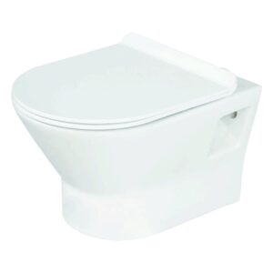 Wall Hung Closet with Soft Closing UF Seat Cover