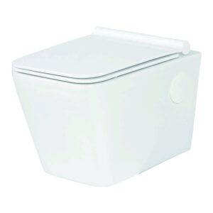 Wall Hung Closet with Soft Closing UF Seat Cover