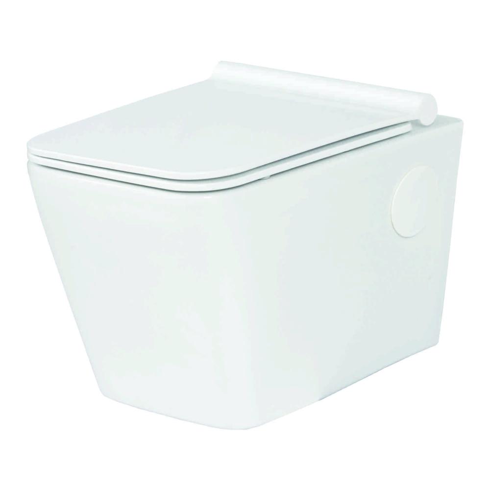 Wall Hung Closet with Soft Closing UF Seat Cover