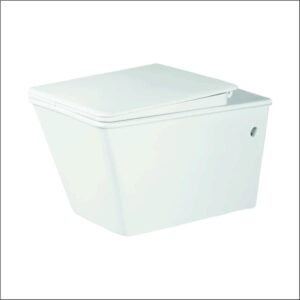 Wall Hung Closet with Soft Closing Seat Cover & Rack Bolt