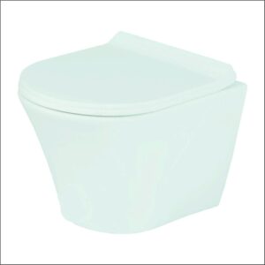 Wall Hung Closet with Soft Closing Seat Cover & Rack Bolt