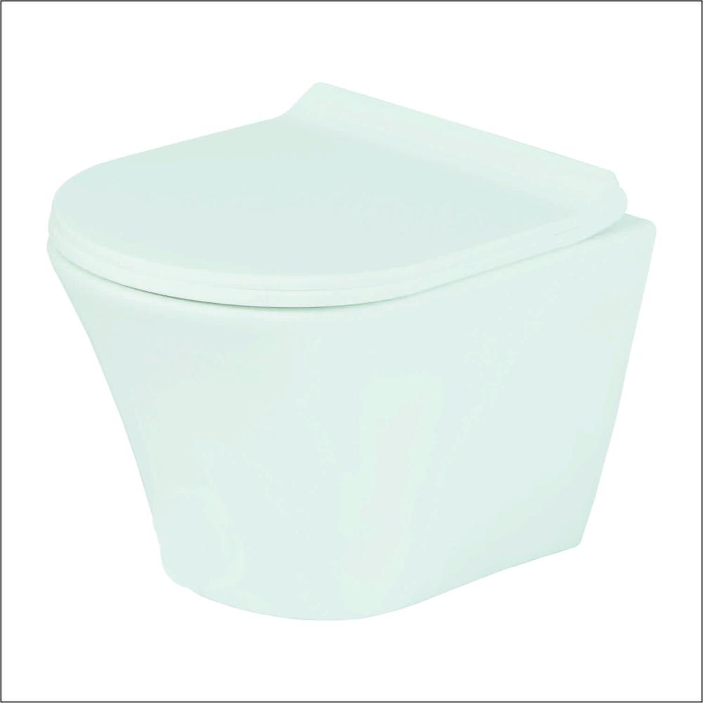 Wall Hung Closet with Soft Closing UF Seat Cover & Rack Bolt