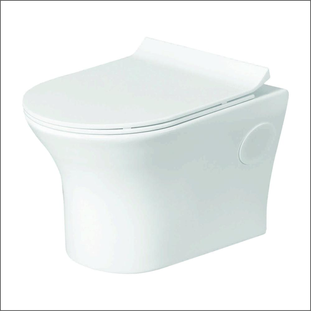 Wall Hung Closet with Soft Closing Seat Cover