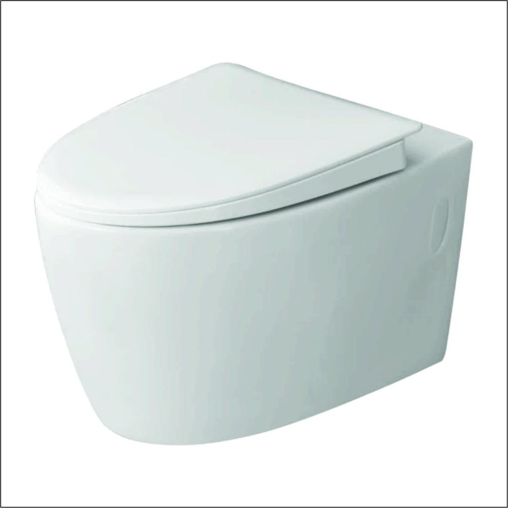 Wall Hung Closet with Soft Closing Seat Cover & Rack Bolt