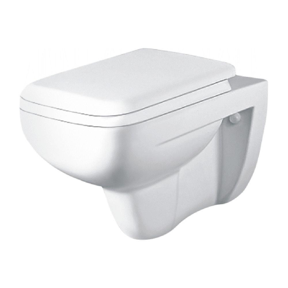 WALL HUNG CLOSET WITH SOFT CLOSING SEAT COVER