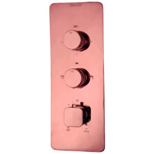 Thermostatic Mixer & Diverter (2 Inlet & 5 Outlet) Exposed Part