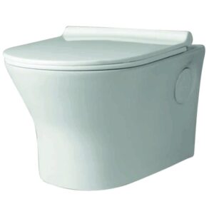 Wall Hung Closet with Soft Closing Seat Cover & Rack Bolt