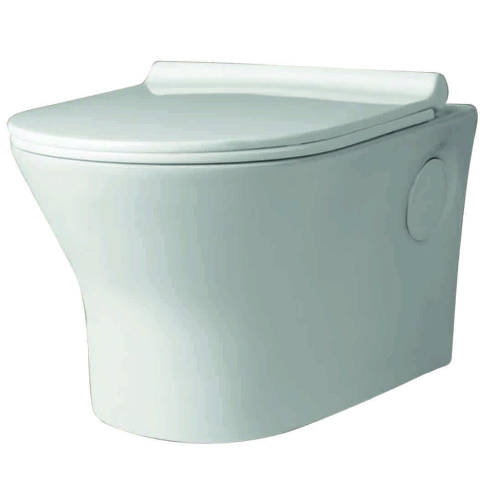 Wall Hung Closet with Soft Closing Seat Cover & Rack Bolt