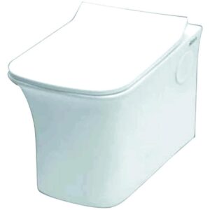 Wall Hung Closet with Soft Closing Seat Cover