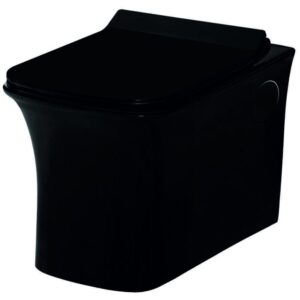 Wall Hung Closet with Soft Closing Seat Cover