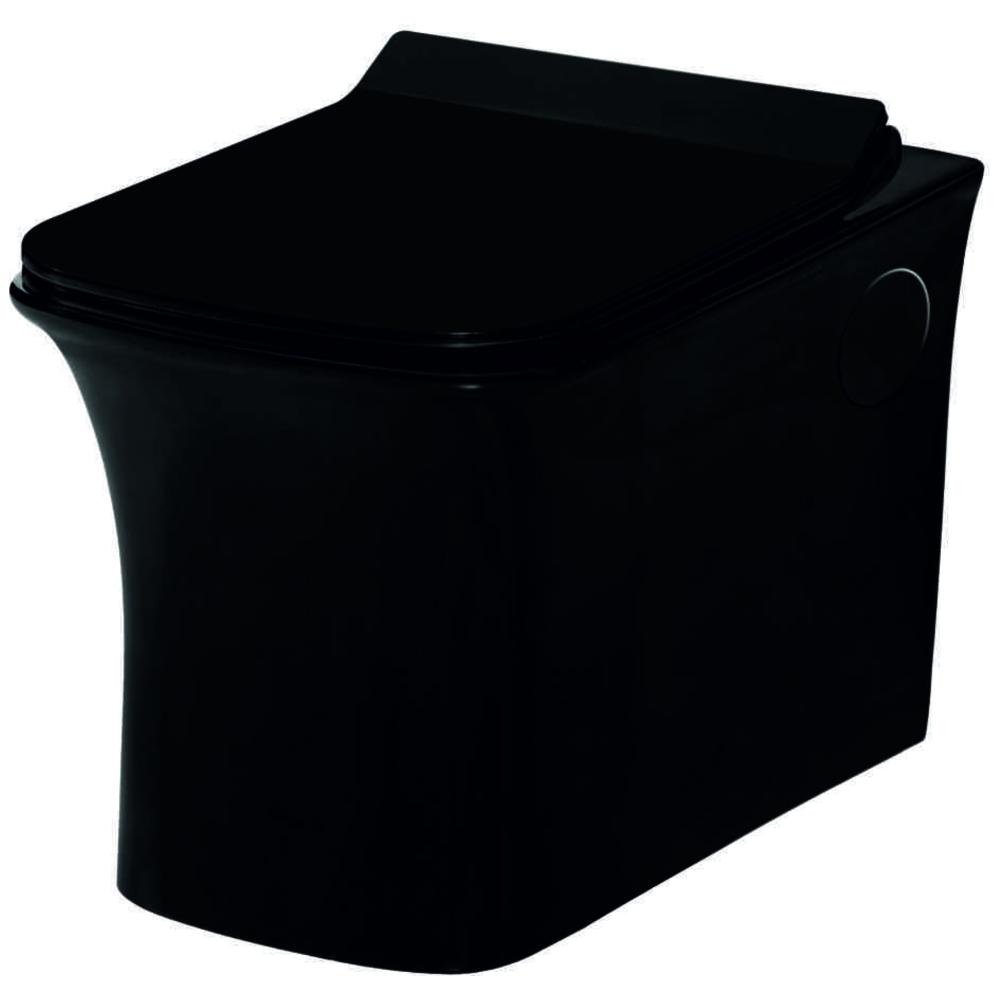 Wall Hung Closet with Soft Closing Seat Cover