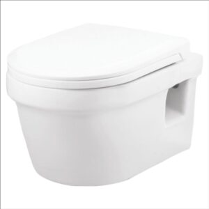 Wall Hung Closet with Soft Closing Seat Cover