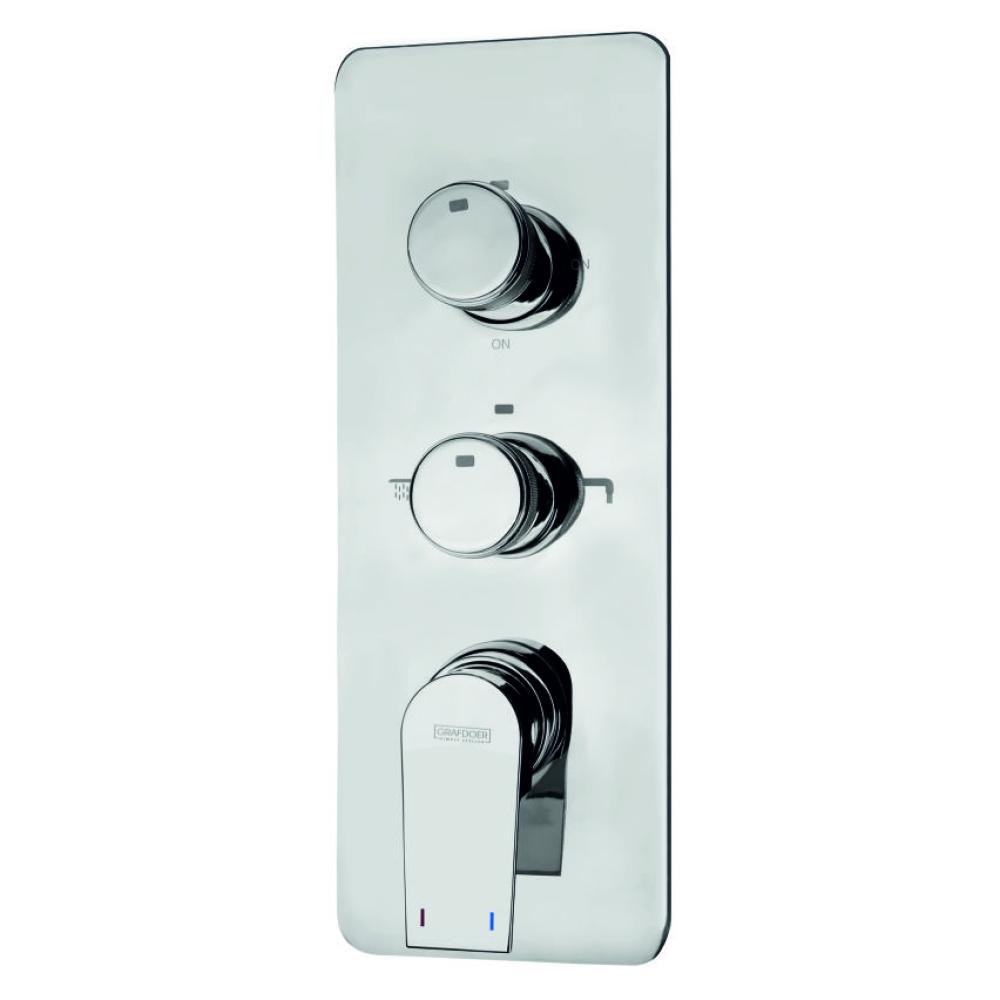 Single Lever Concealed Mixer & Diverter (2 Inlet & 5 Outlet) Exposed Part